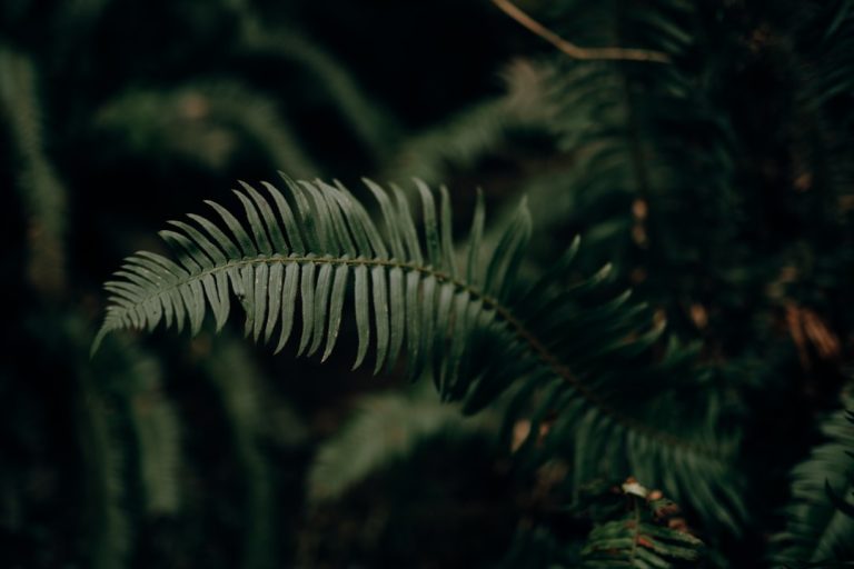 Embracing Nature: The Therapeutic Benefits of Outdoor Travel